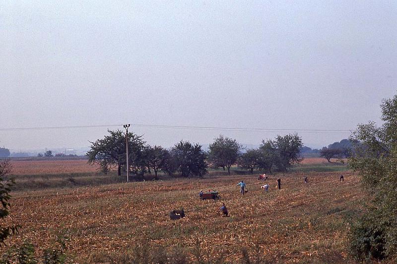 WT 4100 382-36 Czech Rep.jpg